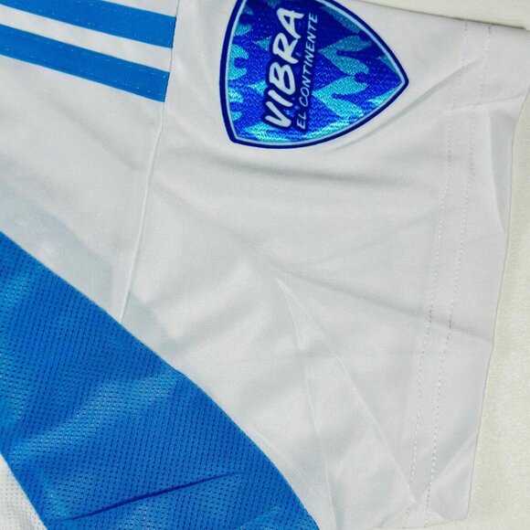Adidas Copa America 2024 Lionel Messi #10 Argentina Home Jersey All Patches - Picture 10 of 13
